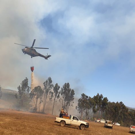 Community rally together to fight fires in Elgin and Grabouw!