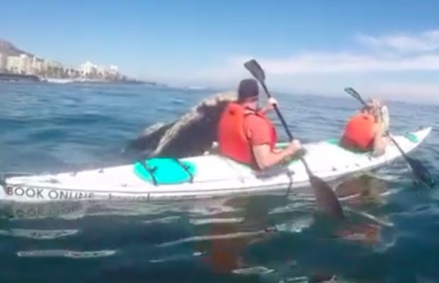 kayaking