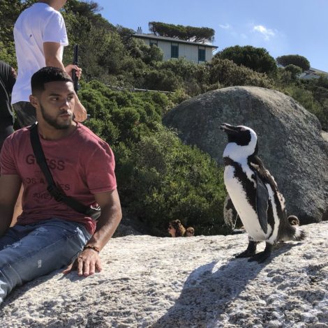Watch: Modern-day Doctor Doolittle gets "picked on" by an African penguin! Brother Nature Penguin