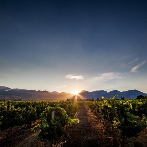 South African winery awarded as one of the 'World's Most Admired' wines!