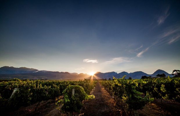 South African winery awarded as one of the 'World's Most Admired' wines!