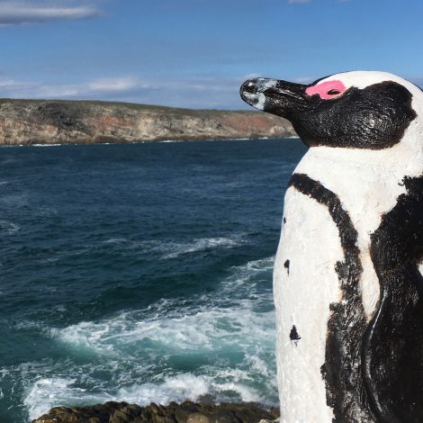 Penguins