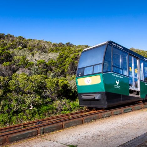 funicular systems