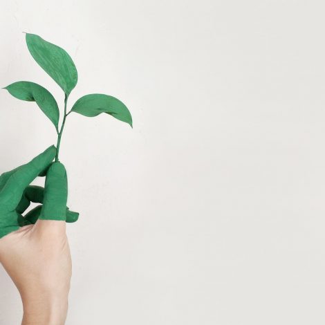 Spray Green Talents