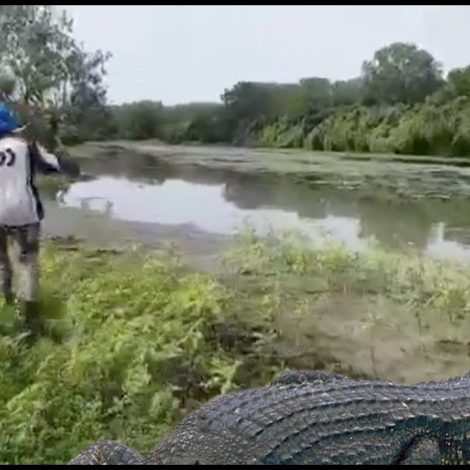 “RUN DANIEL!” Crocodile attacks fisherman and steals his fish!!!