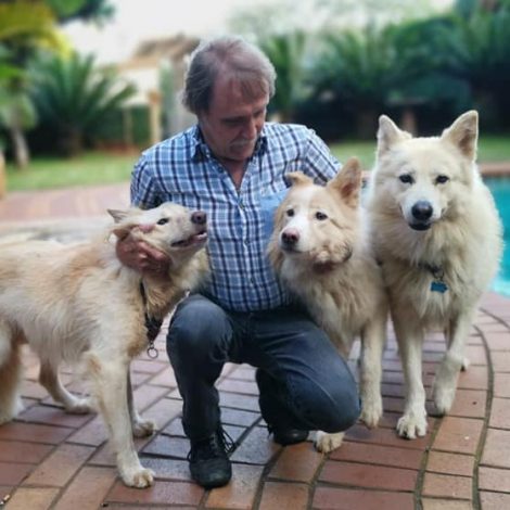 Shakira has found her way home after 19 months of being lost!
