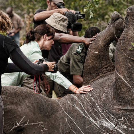 STROOP wins BIG at the leading International Wildlife Film Festival!
