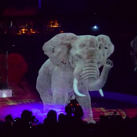 circus