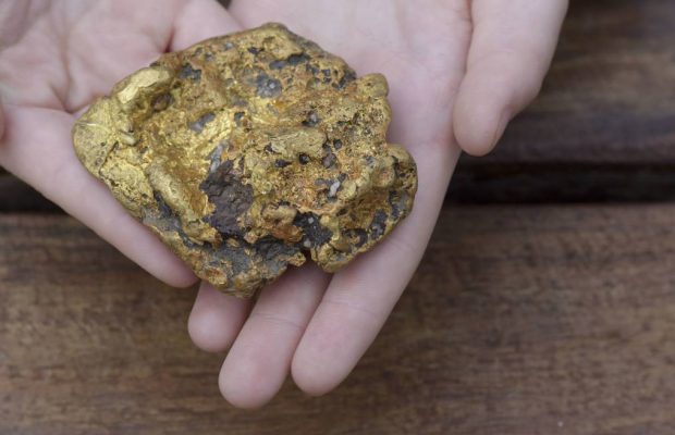 Family finds gold worth over R360k while walking "Lucky" their dog!