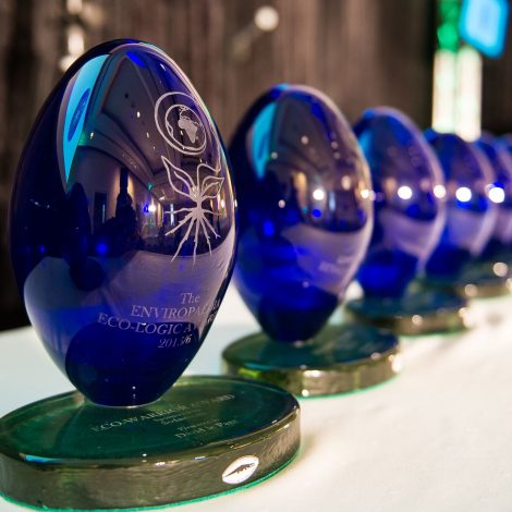 SA’s greenest announced: Meet this year’s Eco-Logic Awards finalists!