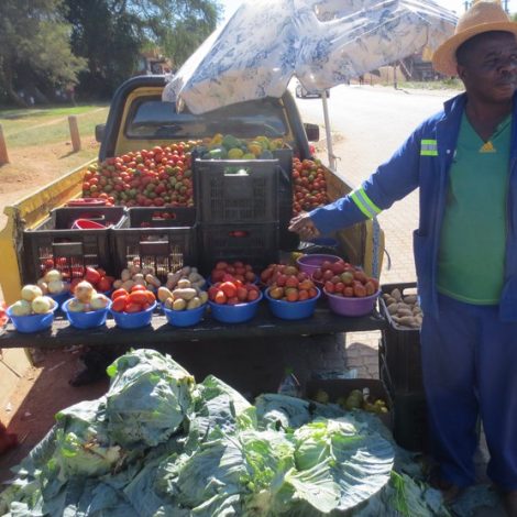 Fruit Trader