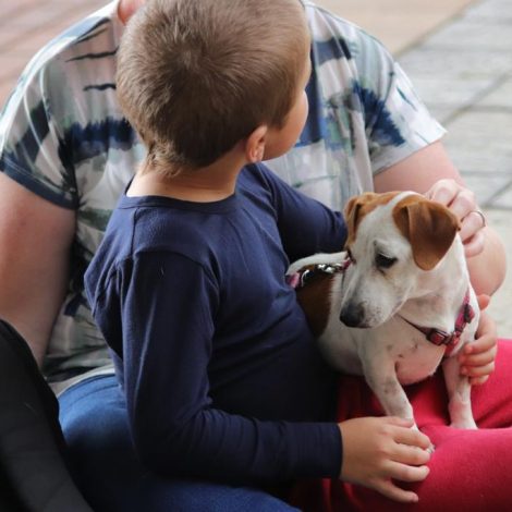Rescued animals improve the lives of children with Autism