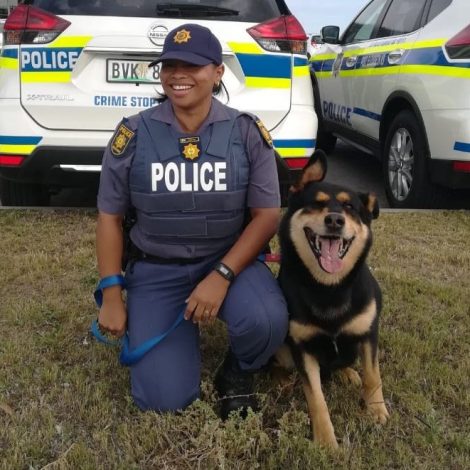 police dog