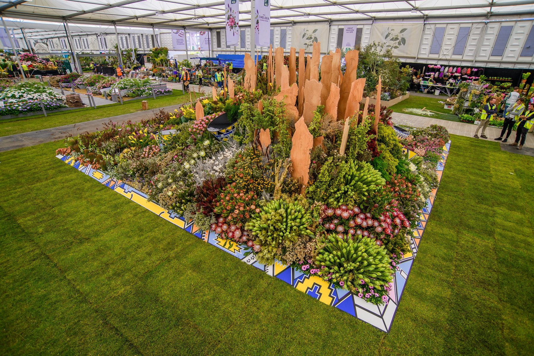 sa does it again, earning gold at chelsea flower show