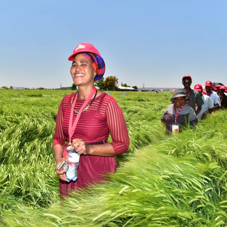 Farmers