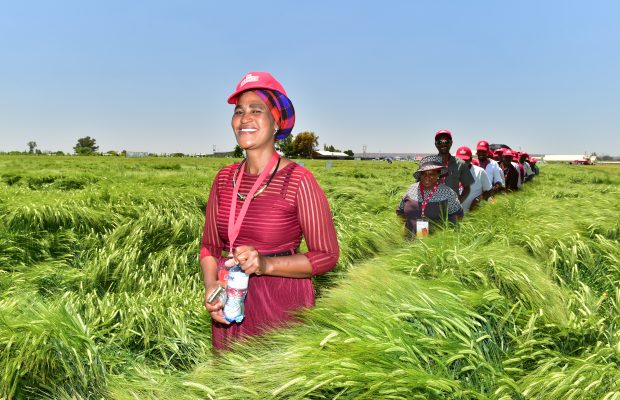 Farmers