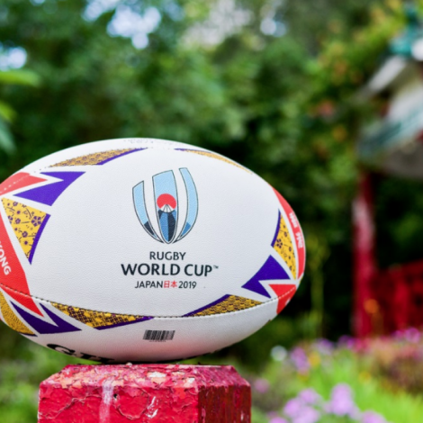 World Cup Two South African Match officials selected for Rugby World Cup 2019