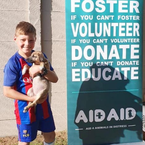 animal charity