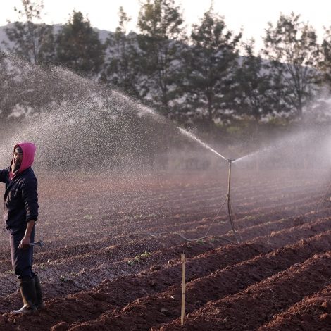 Farmers