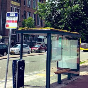 bus stops