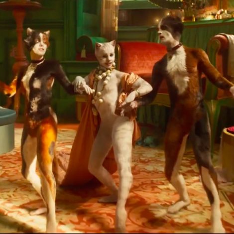 cats