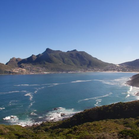 Saving Hout Bay dunes: 10 local residents celebrated for their conservation efforts!