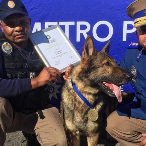 K9