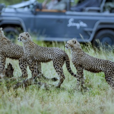 Singita SA lodge takes top honours in the Travel + Leisure World’s Best Awards 2019!