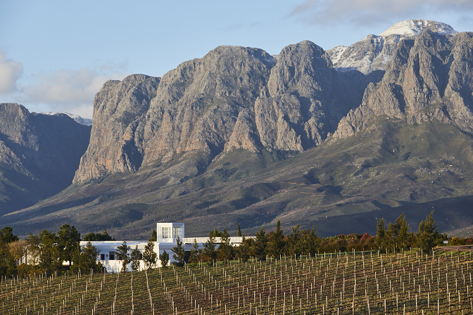 Vergelegen wine estate