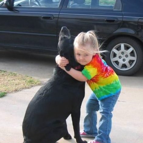 Must read: Little girl receives a reply from "an angel" after her pup died.