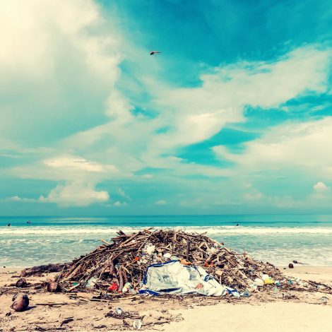 Plastic Teen wins Google Science Fair Grand Prize for extracting microplastics from water
