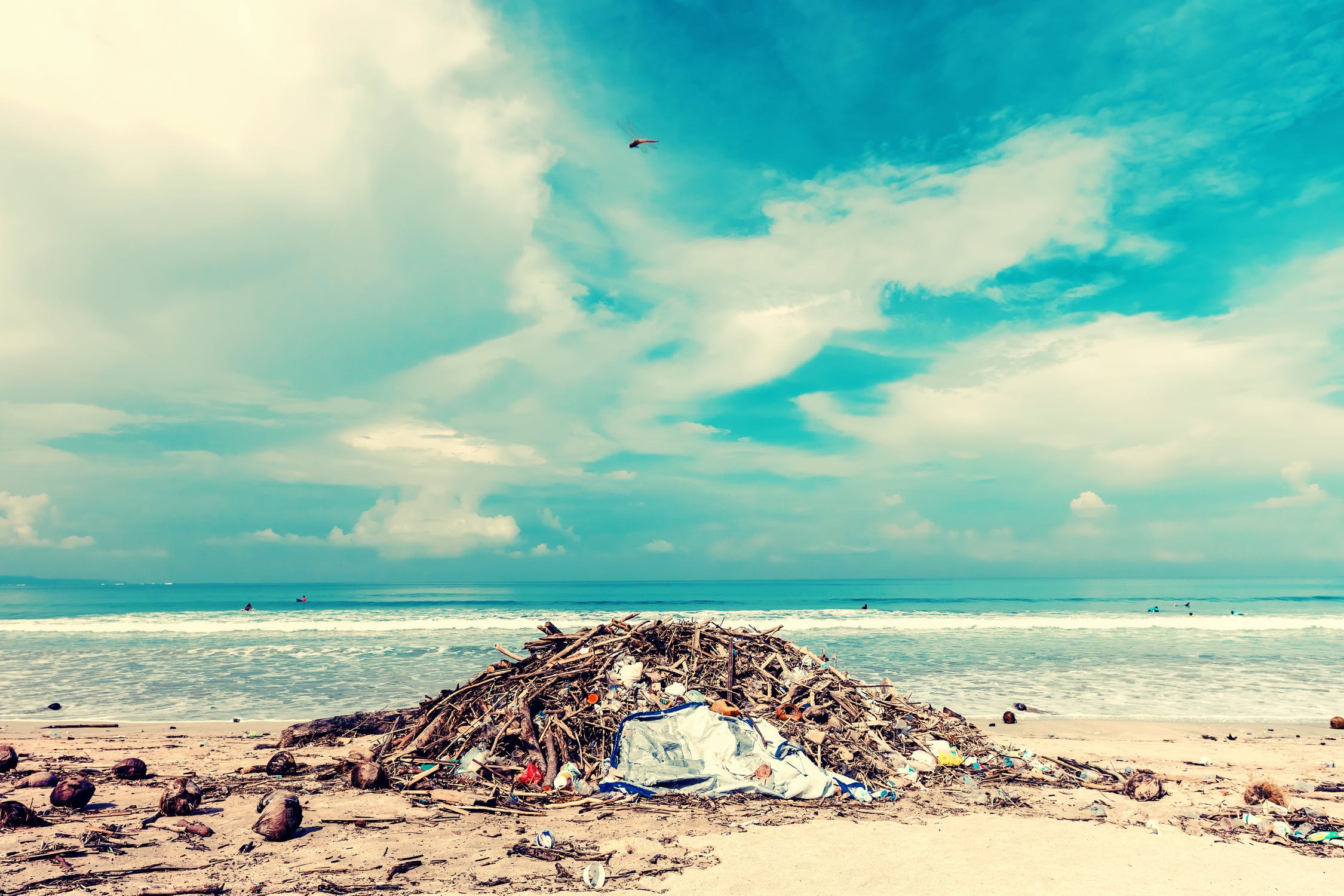 Plastic Teen wins Google Science Fair Grand Prize for extracting microplastics from water
