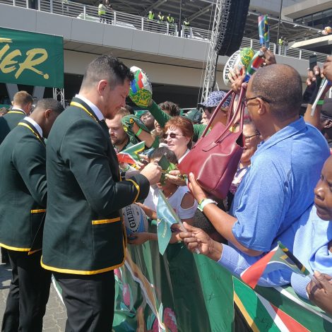 Springboks