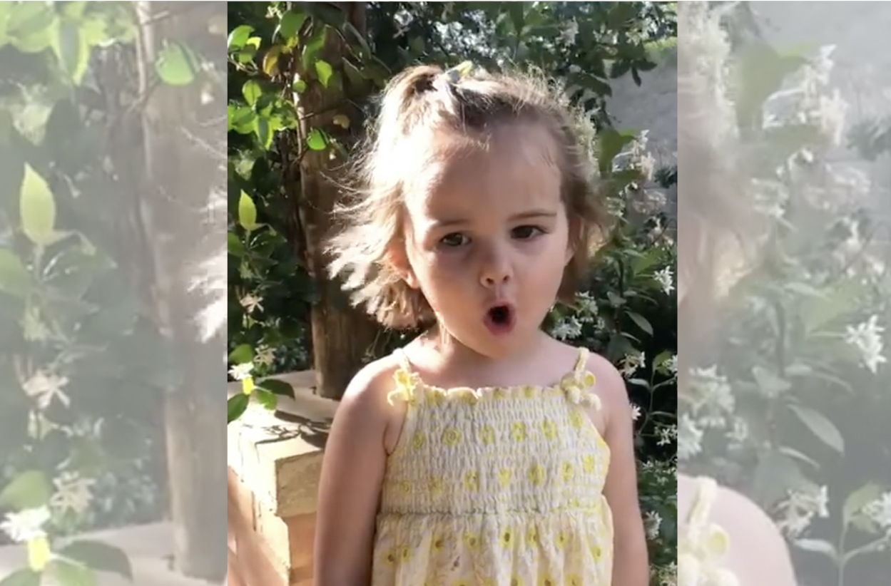 Watch: 2-year-old singing the National Anthem will give you all the feels!