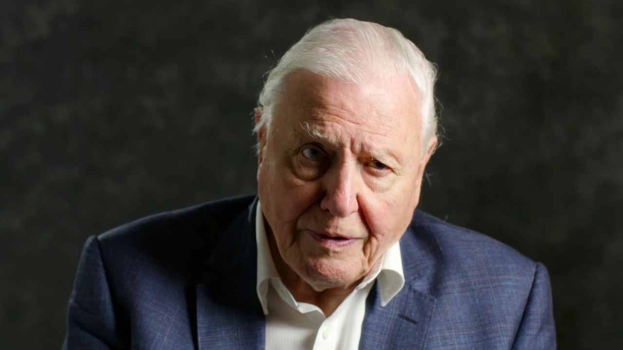 From Sir David Attenborough... an important message to world leaders!