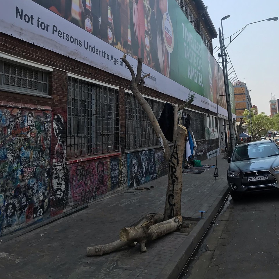 Someone planted new trees in the Joburg CBD last night after billboard company hacked the old ones down.