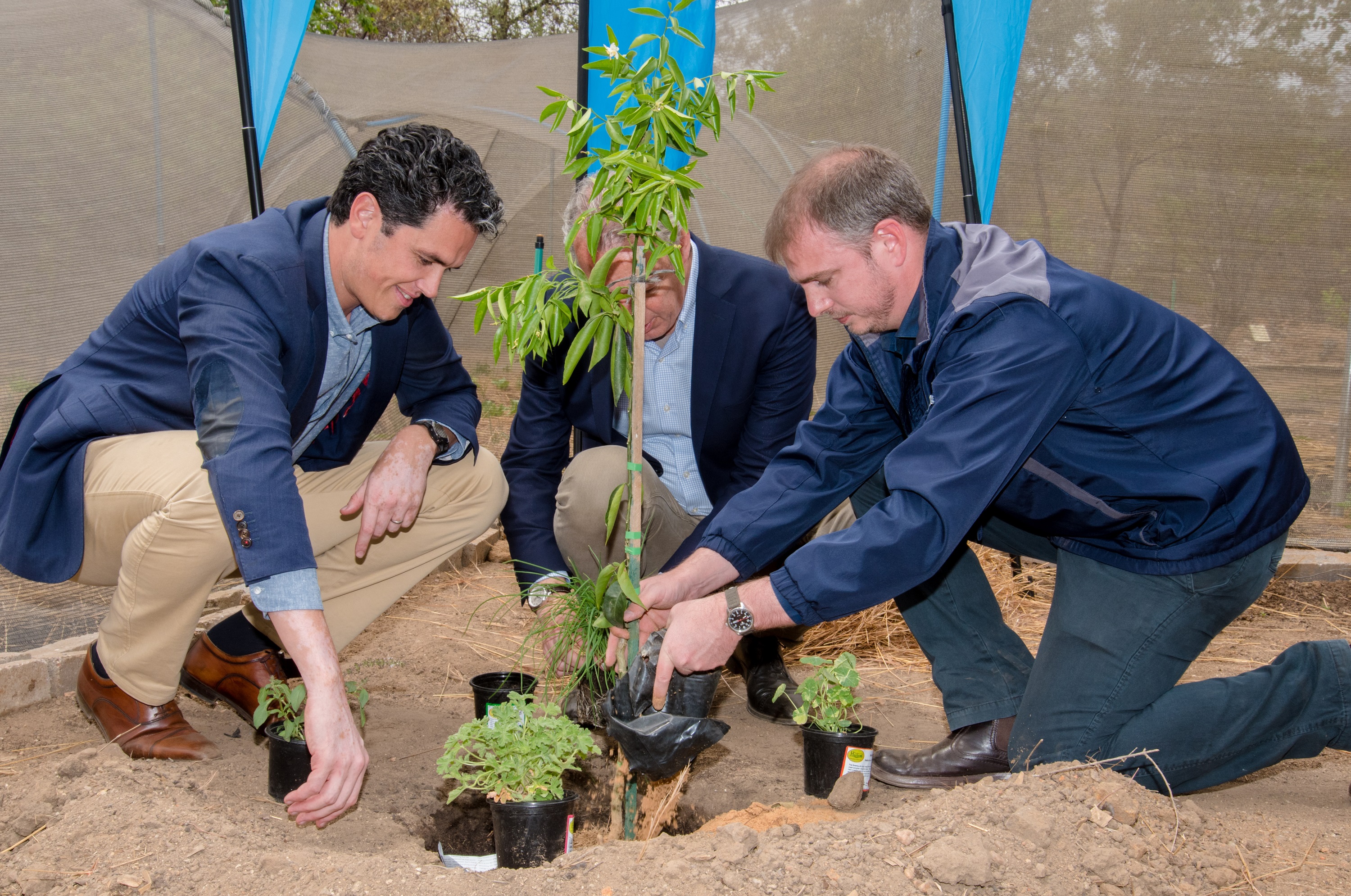 A Forest of the Future has just been planted in Johannesburg