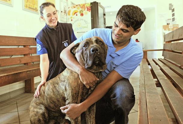 SPCA