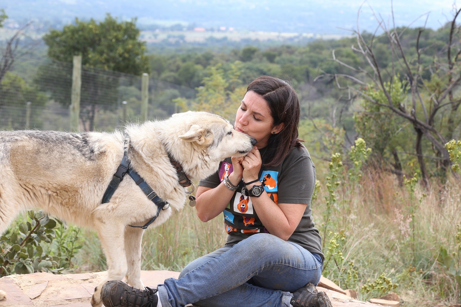 Dogtown South Africa celebrates ten years of saving the lives of abandoned dogs this month.