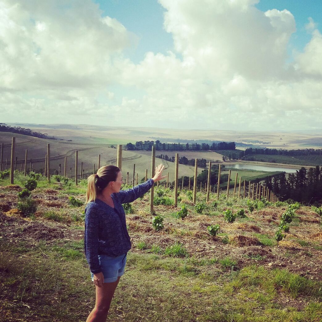 Almost half a million raised after devastating Wildfire destroys Wine Farm.