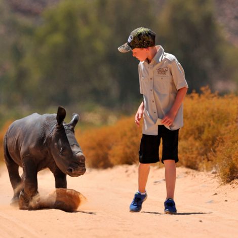 rhino poaching How one New Year's resolution started a Save the Rhino revolution!