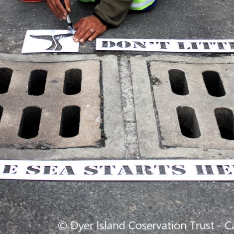 drains
