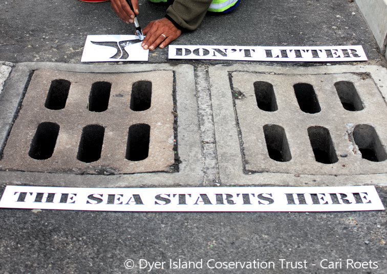 drains