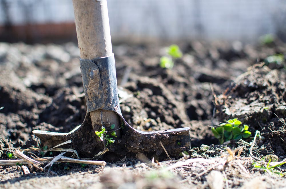 Fixing the South African economy one spade at a time