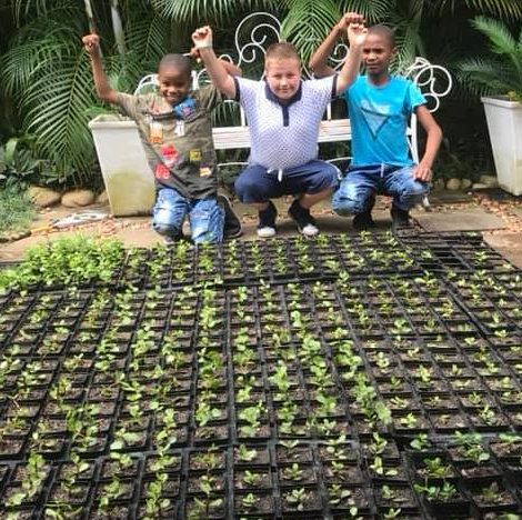 11-year-old has planted over 5000 Spekboom plants to save our planet!!!