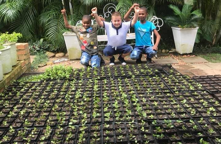 11-year-old has planted over 5000 Spekboom plants to save our planet!!!