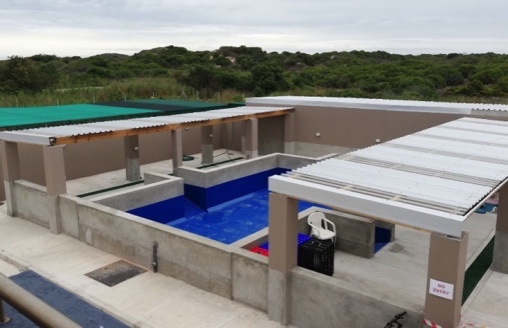 Special pool for penguins has been completed thanks to donors!