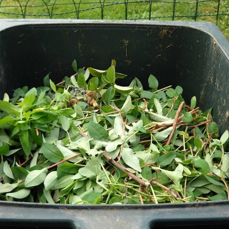 Composting