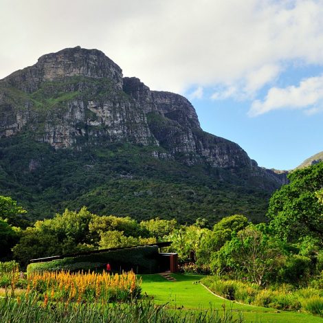 Cape Town