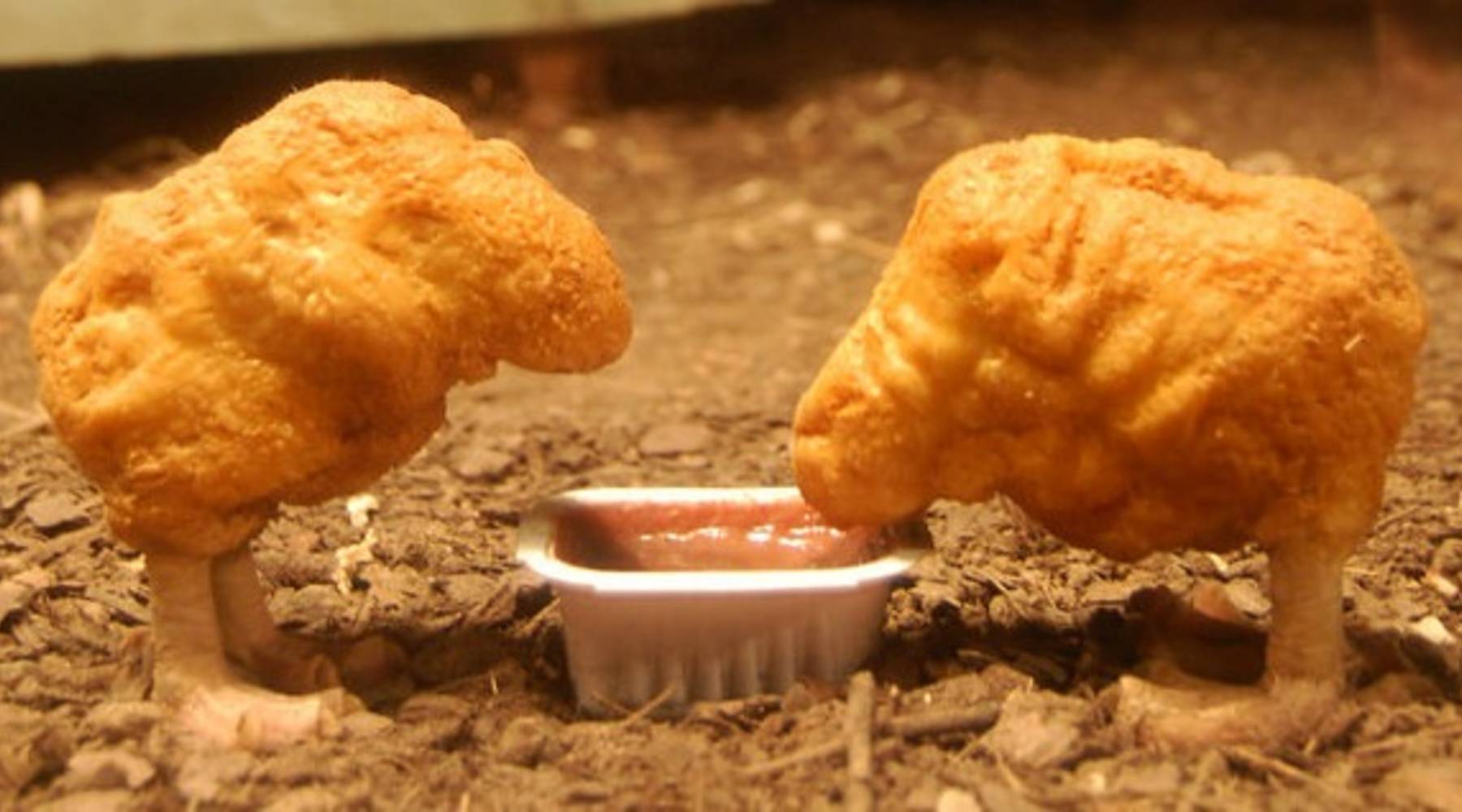Nando's want to know where a chicken nugget comes from... and so do the rest of the world?!?